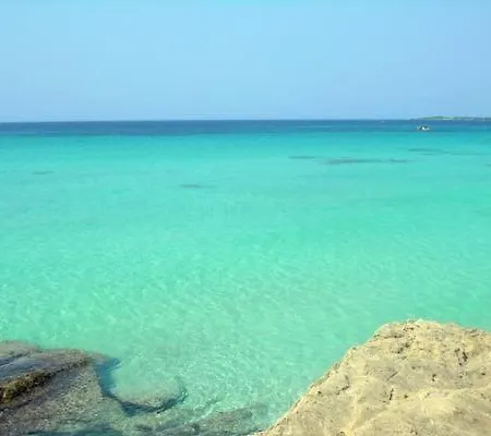 Sa Sorda Campos (Mallorca)